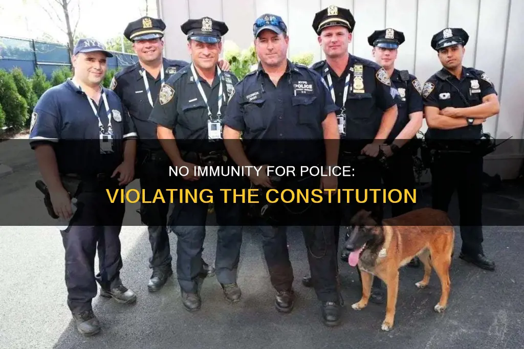 when police violate the constitution there is no immunity