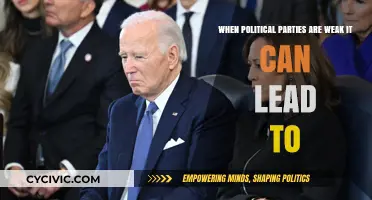 Weak Political Parties: Unraveling Democracy, Stability, and Governance Risks