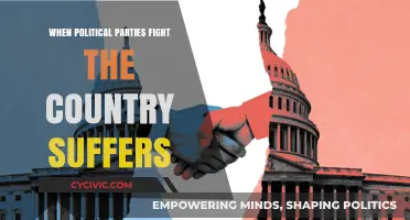 Divided Politics, United Pain: How Party Conflict Hurts Nations