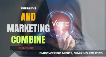 Political Marketing Strategies: How Campaigns Shape Public Opinion and Votes