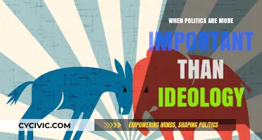 When Political Games Overshadow Ideological Principles: A Critical Perspective