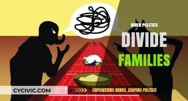 Political Polarization: Healing Family Rifts in a Divided Nation