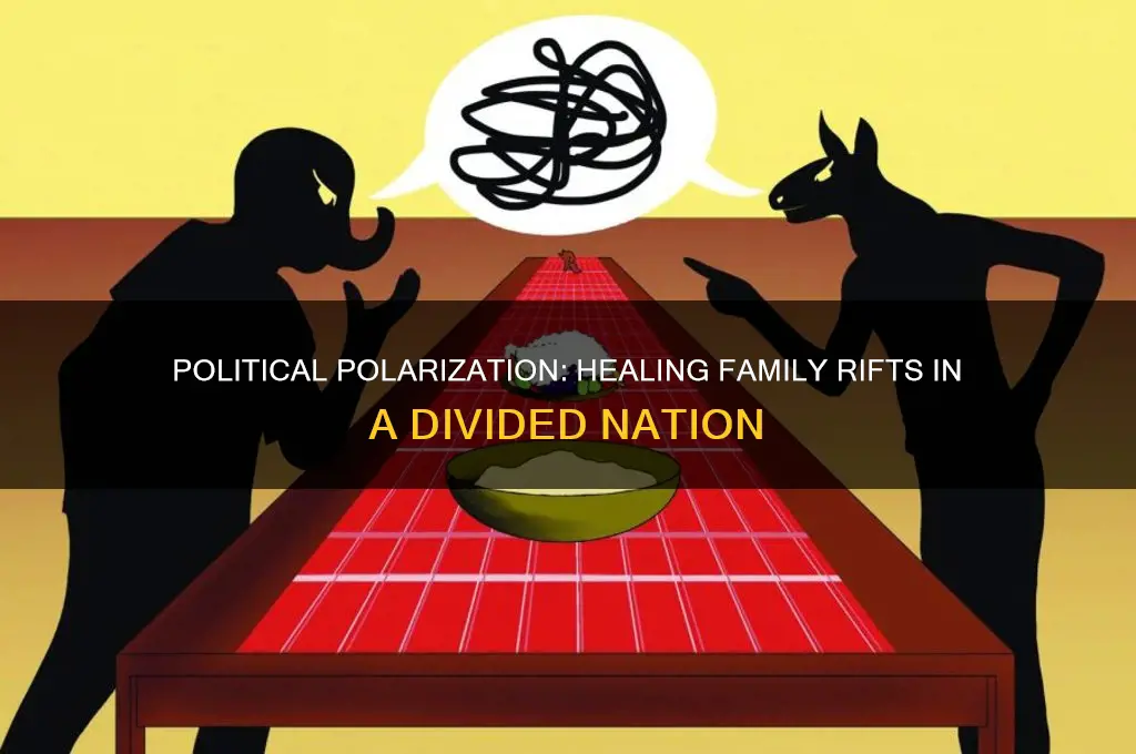when politics divide families