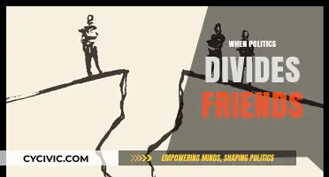 When Politics Divides: Navigating Friendships in a Polarized World