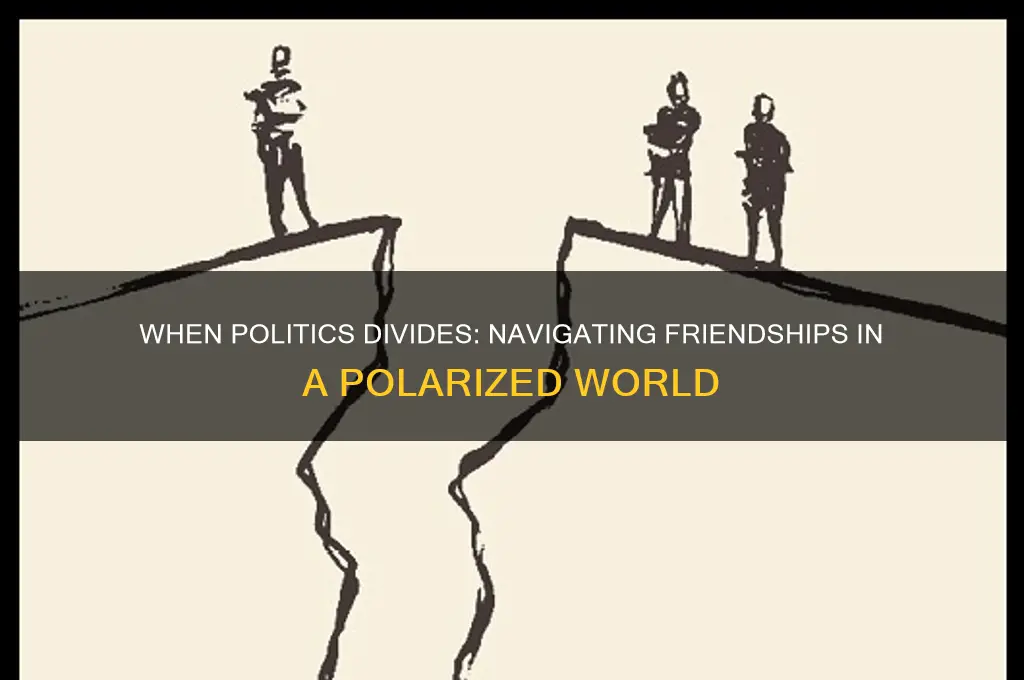 when politics divides friends