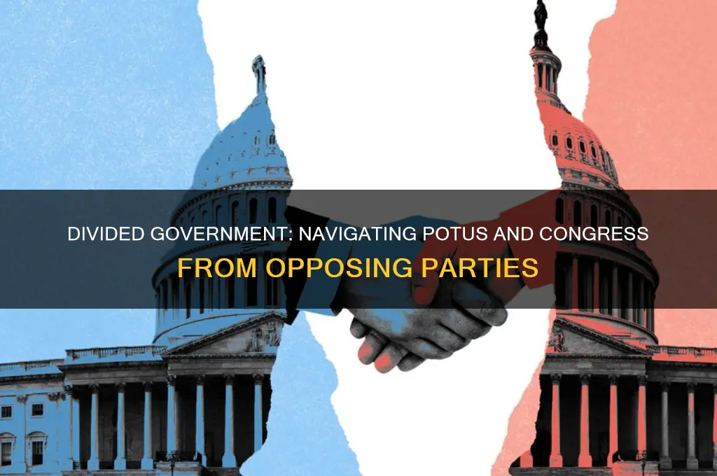 when potus and congress are different political parties