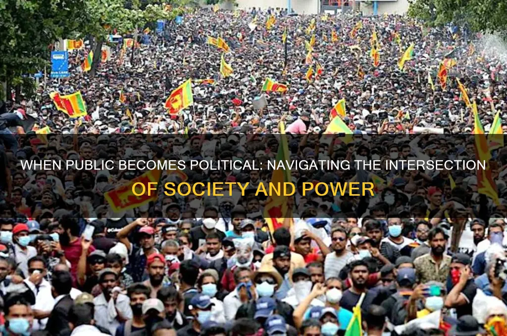 when public is political