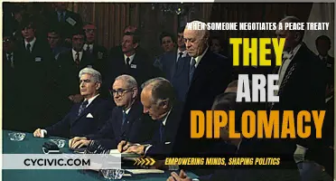 Diplomacy: Negotiating Peace Treaties for a Better World
