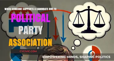 Party Over Policy: Blind Loyalty in Political Candidate Support