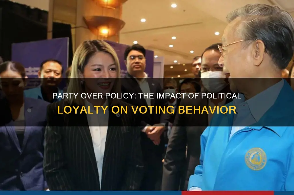 when someone votes a candidate due to political party association