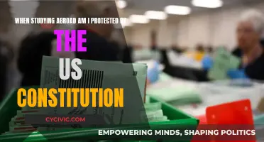 Studying Abroad: Are US Constitutional Rights Still Applicable?