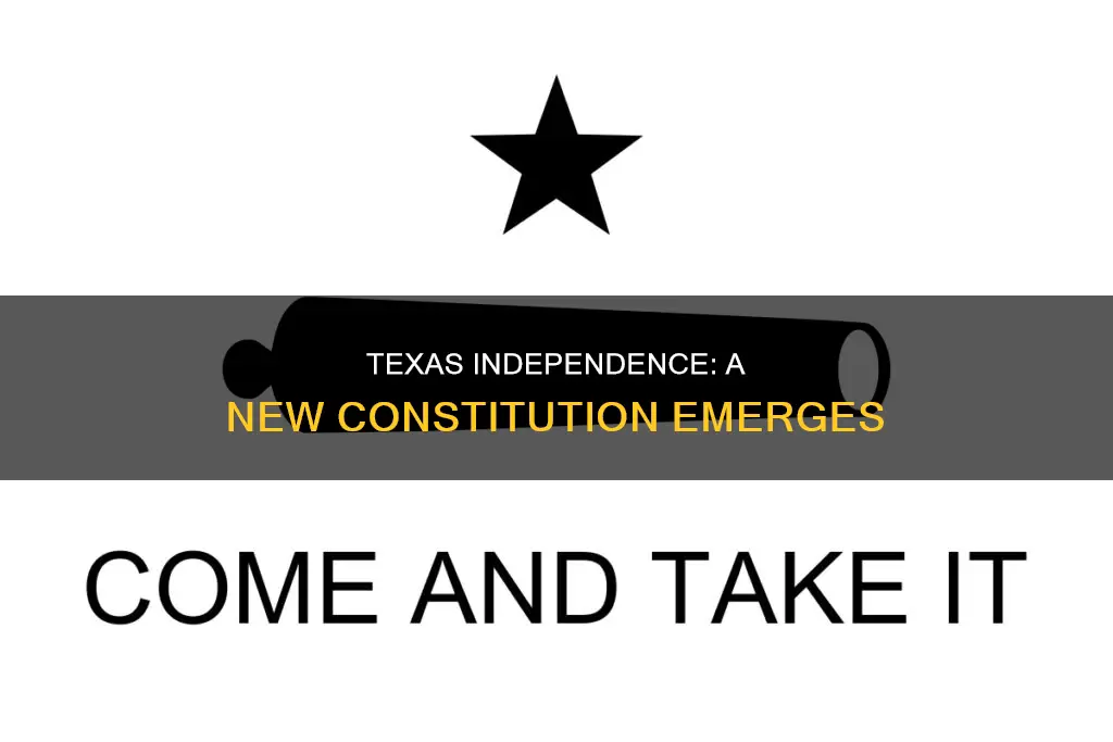 when texas declared independence from mexico its new constitution