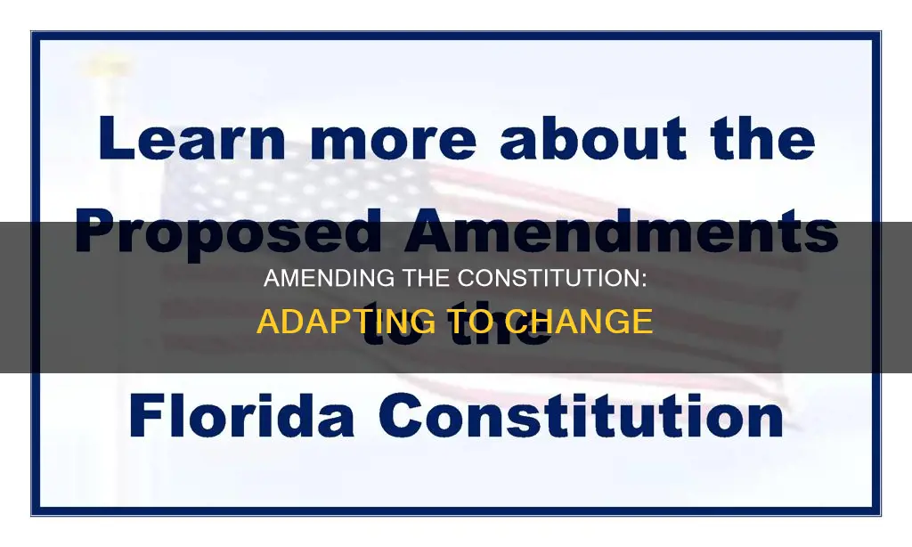 when the constitution is amended what does that action represent