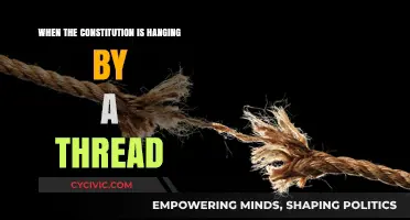 The Constitution's Thread: Liberty's Last Stand