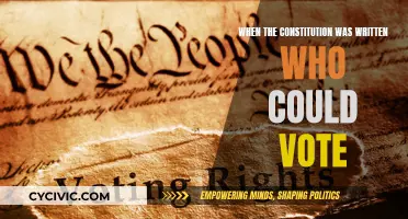 The Constitution and Voting Rights: Who Had the Power?