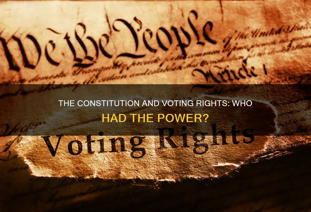 when the constitution was written who could vote