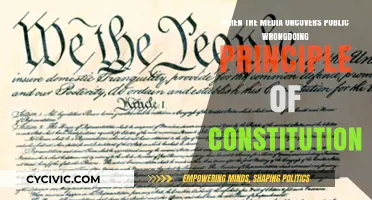 Media's Role: Exposing Wrongdoing, Upholding Constitutional Principles
