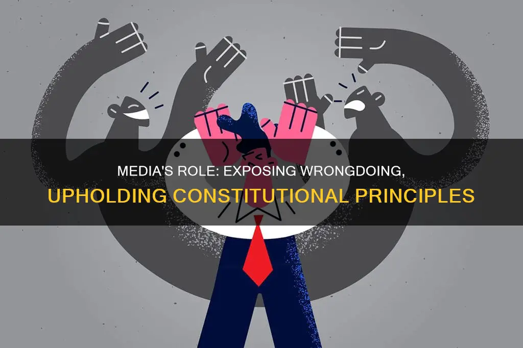 when the media uncovers public wrongdoing principle of constitution