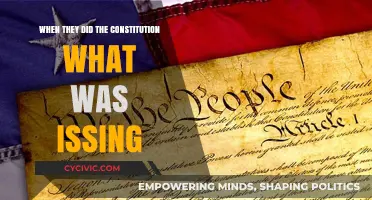 The Constitution: What Was Missing?