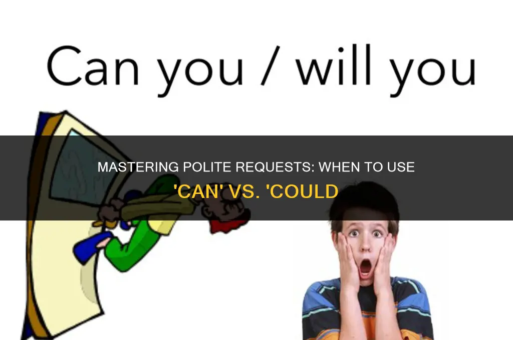 when to use can could polite requests