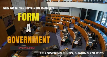 Uniting for Governance: How Political Coalitions Shape National Leadership