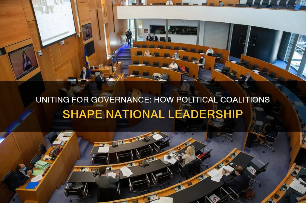 when two political parties come together to form a government