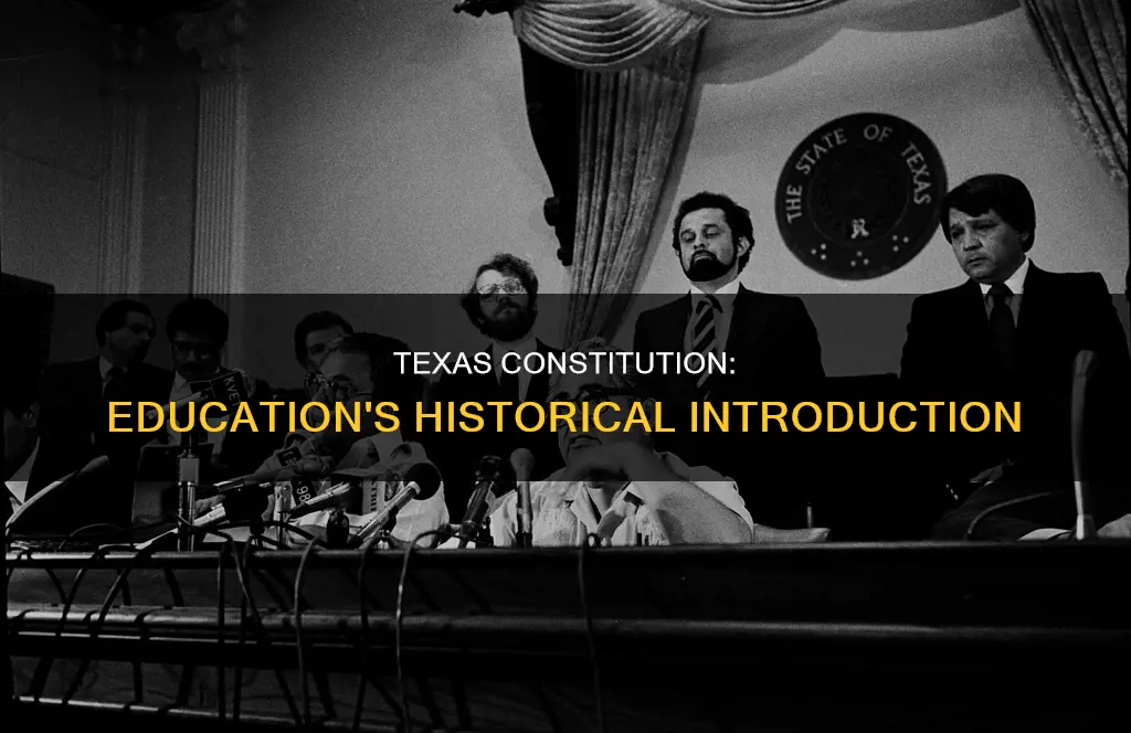 when was education introduced into the texas constitution