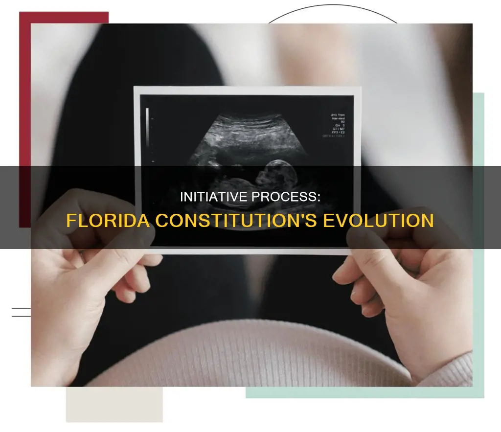 when was initiative process added to florida constitution