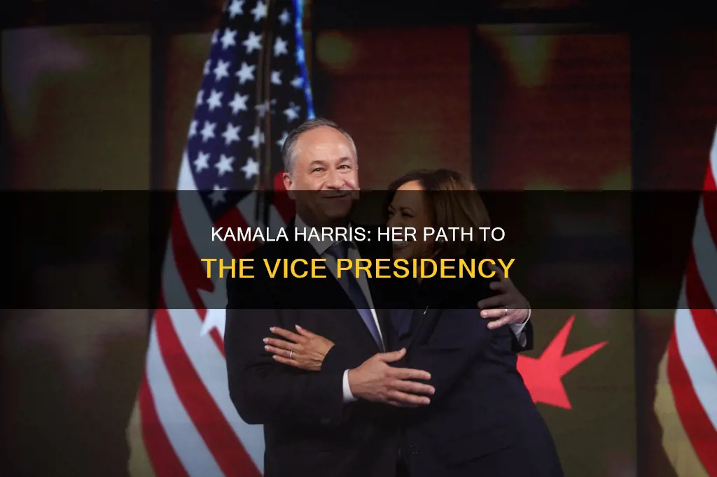 when was kamala harris vice president