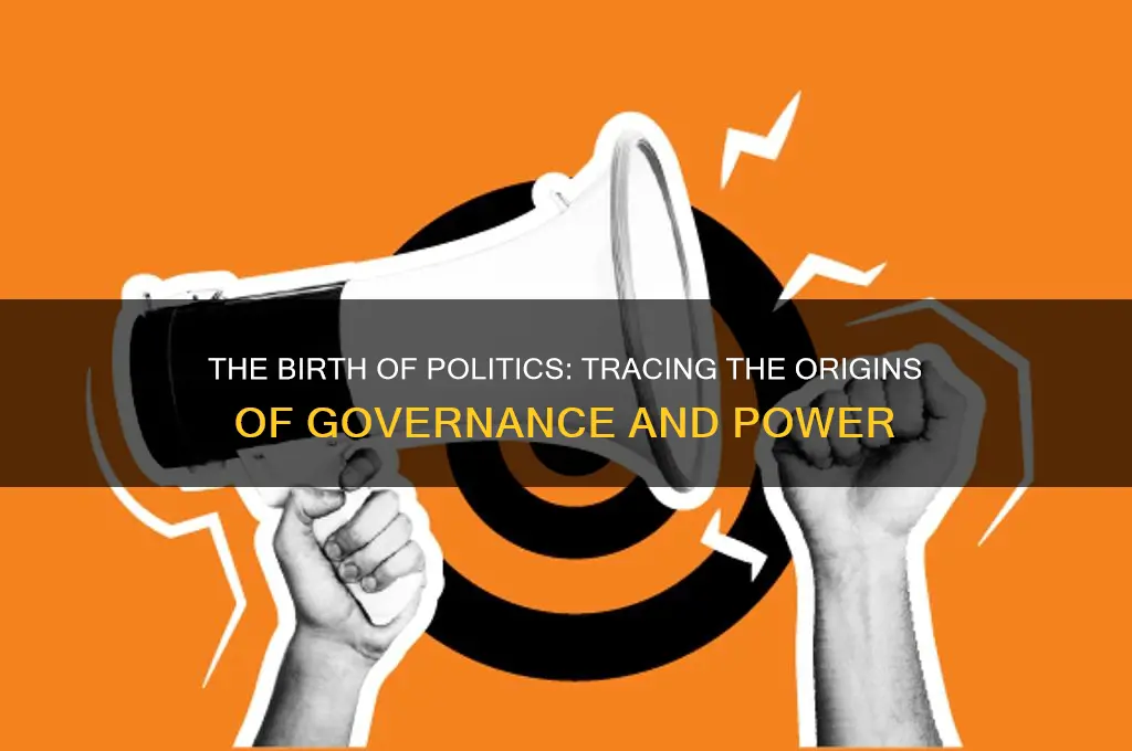 when was politics born