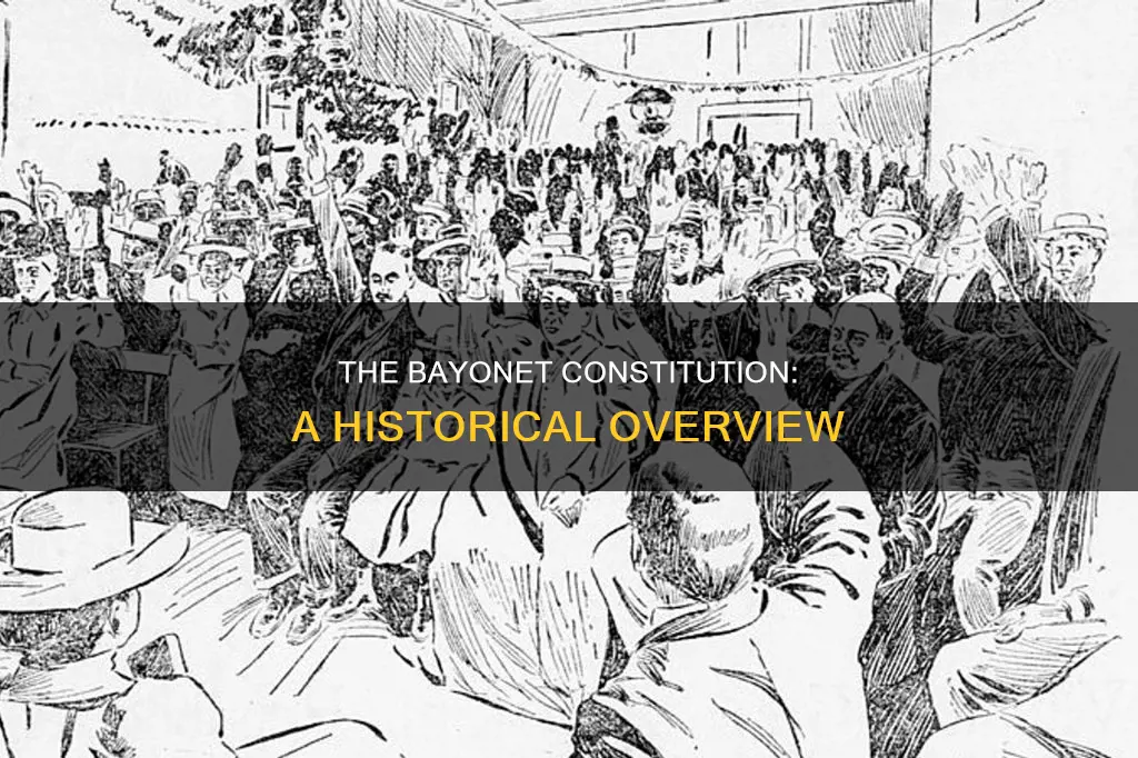 when was the bayonet constitution signed
