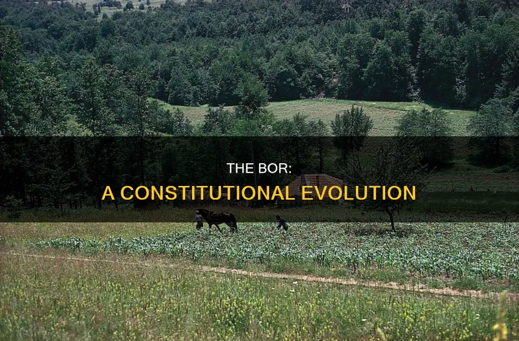 when was the bor added to the constitution