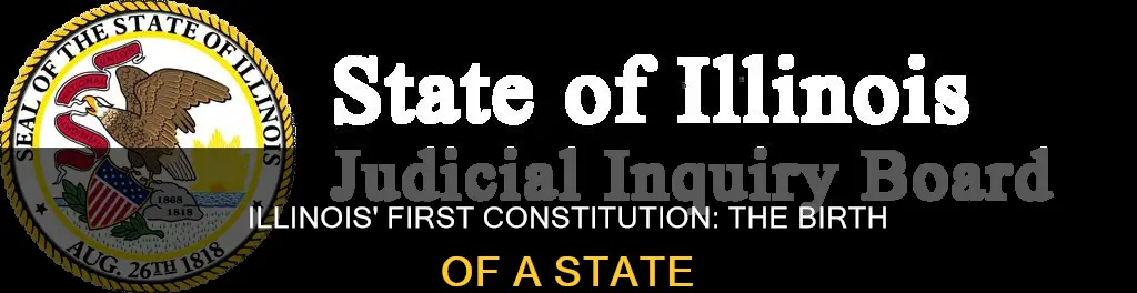 when was the first illinois constitution adopted