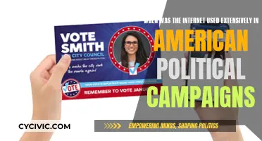 The Internet's Role in American Political Campaigns