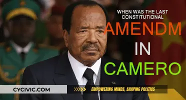 Cameroon's Last Constitutional Amendment: When and Why?