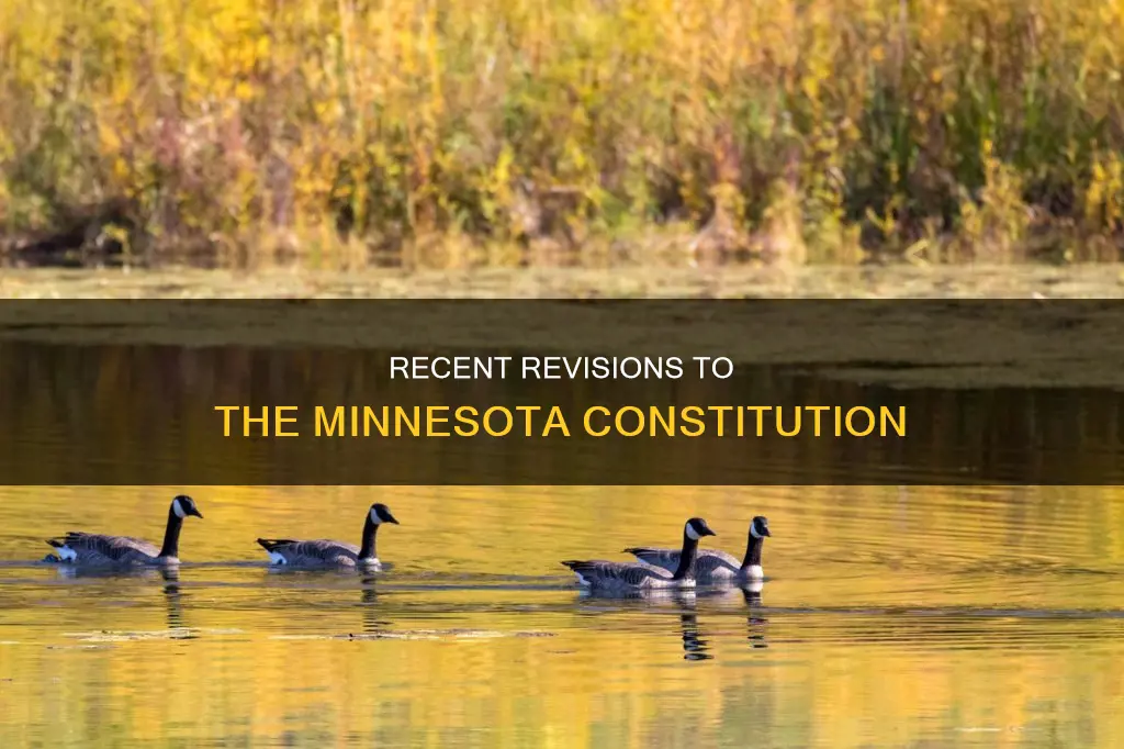 when was the mn constitution most recently revised