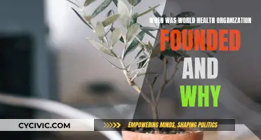 The World Health Organization: Foundation and Purpose