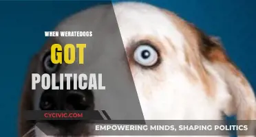 When WeRateDogs Went Political: Memes, Tweets, and Controversy