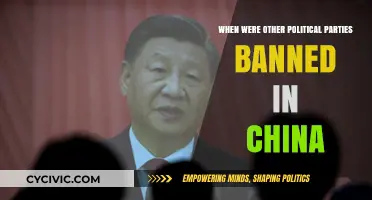 China's Political Landscape: When Other Parties Were Banned