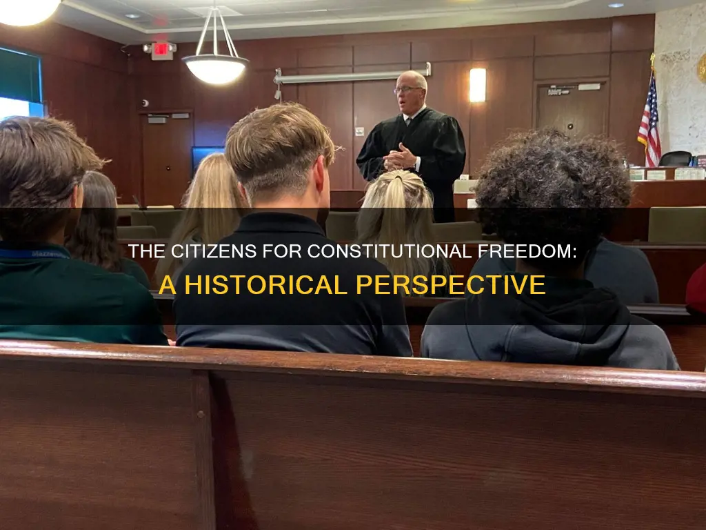 when were the citizens for constitutional freedom started