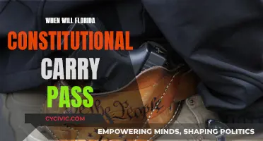 Florida Constitutional Carry: When Will It Pass?