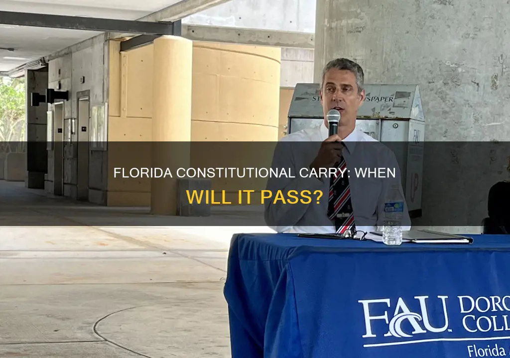 when will florida constitutional carry pass