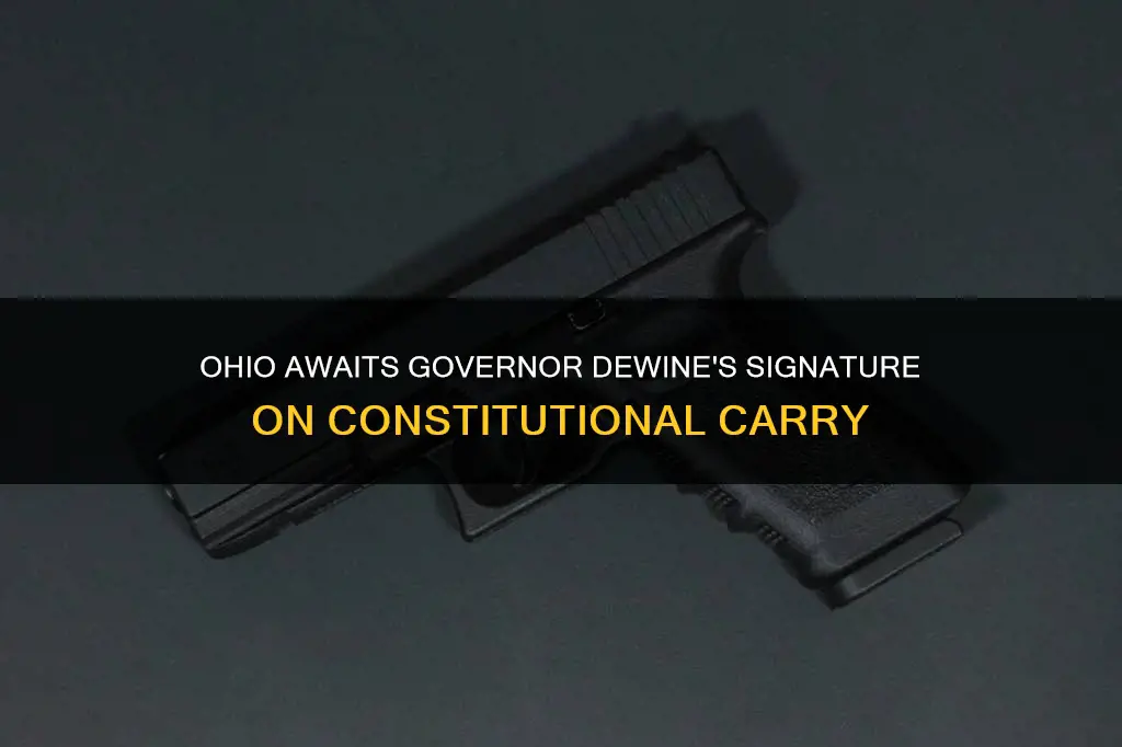when will governor dewine sign the constitutional carry bill
