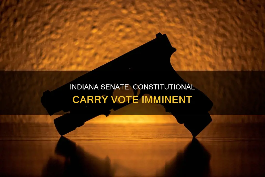when will indiana senate vote on constitutional carry