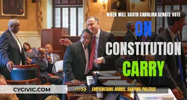 South Carolina Senate to Vote on Constitutional Carry