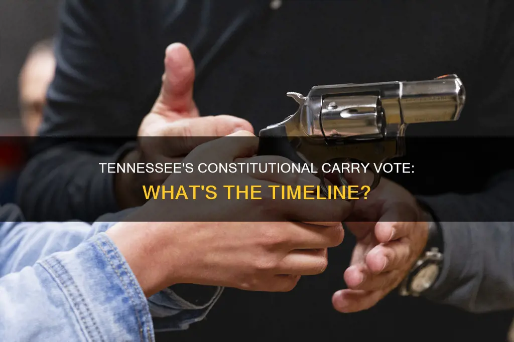when will tennessee vote on constitutional carry