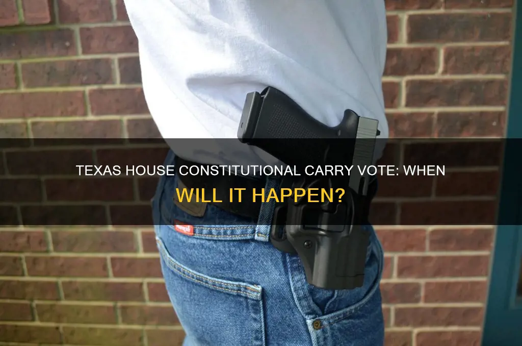 when will texas house vote on constitutional carry