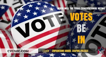 Texas Constitutional Voting Results: When to Expect Them