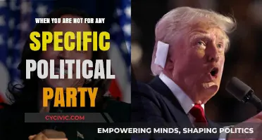 Independent Thinking: Navigating Politics Without Party Allegiance