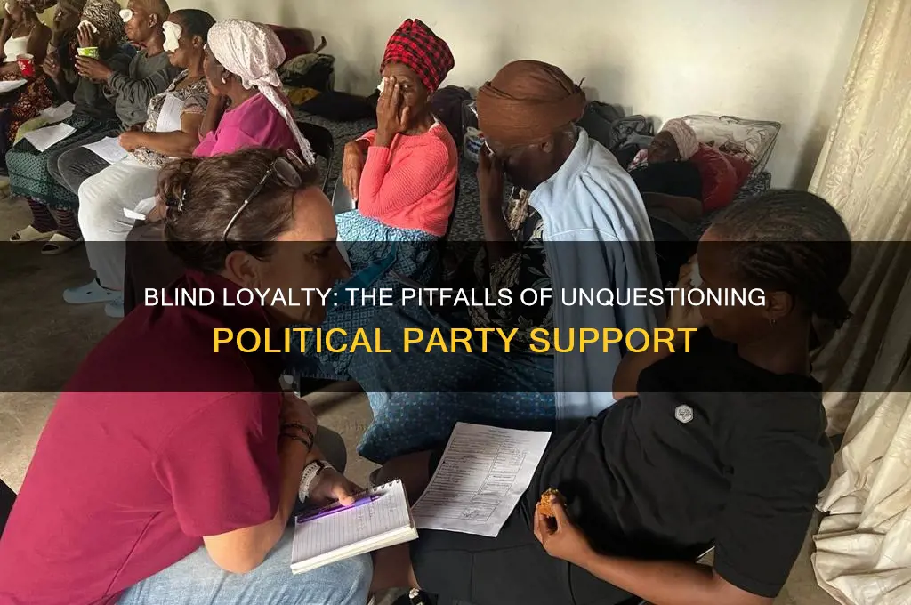 when you blindly support a political party
